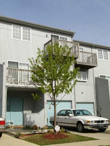 Brigantine, NJ Real Estate property listing